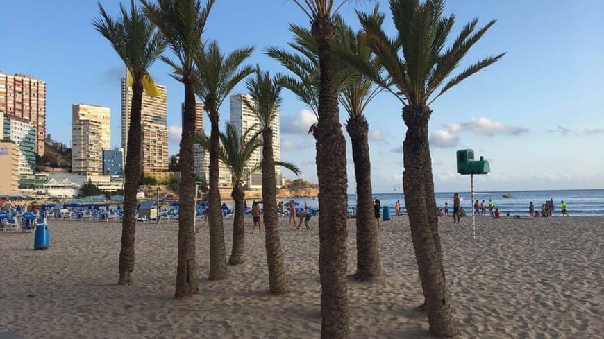 Lugar Benidorm