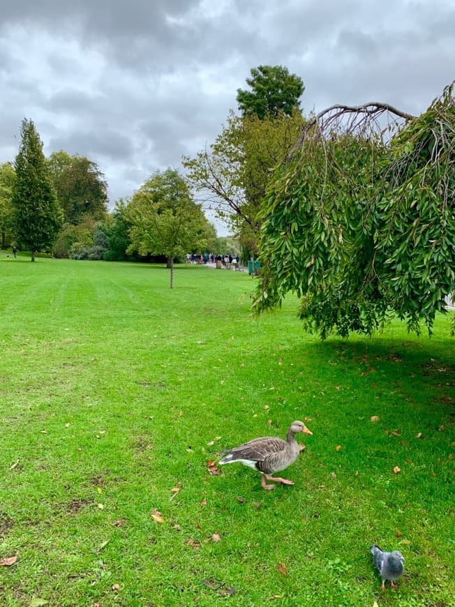 Lugar St. James's Park