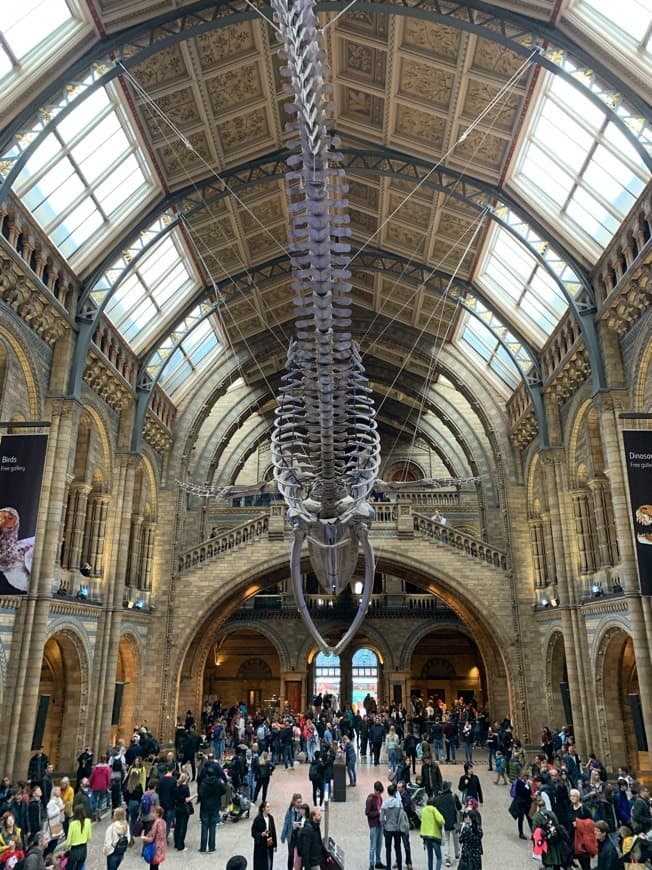 Lugar Natural History Museum