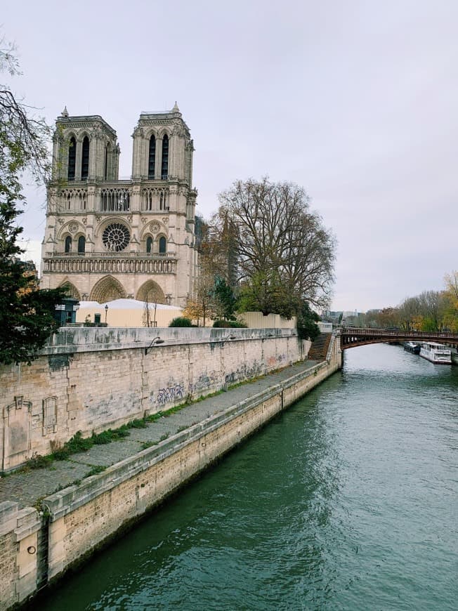 Lugar Notre Dame