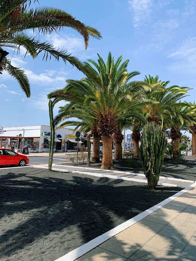 Lugar Teguise Market