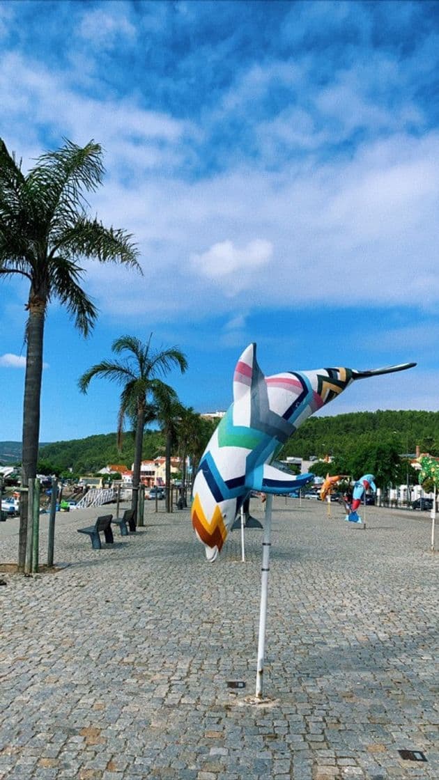 Lugar Doca de Pesca do Porto de Setúbal