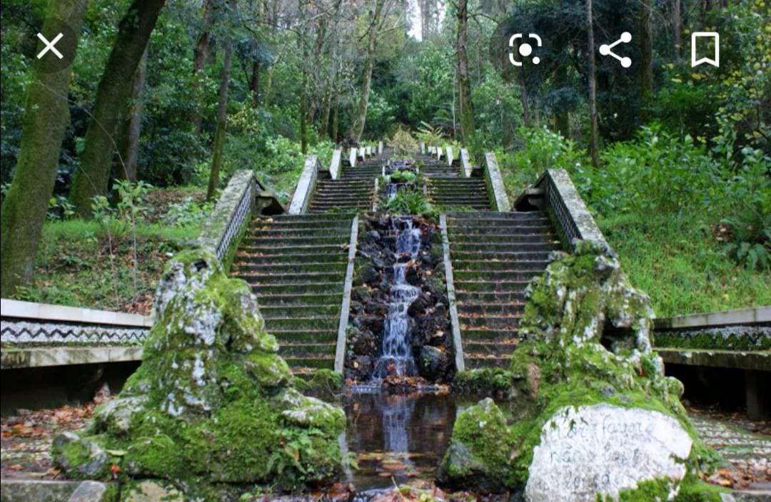 Fashion Serra do Buçaco