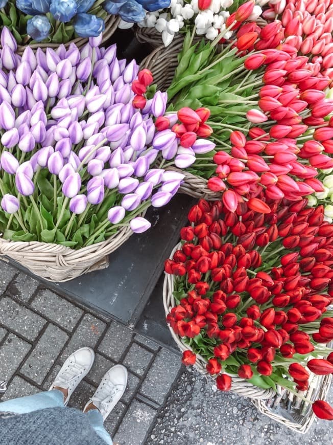 Lugar Bloemenmarkt