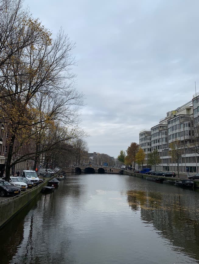 Place Singel