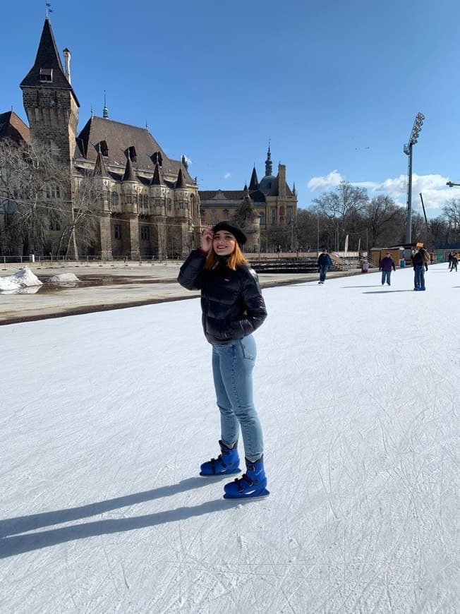 Place City Park Ice Rink and Boating