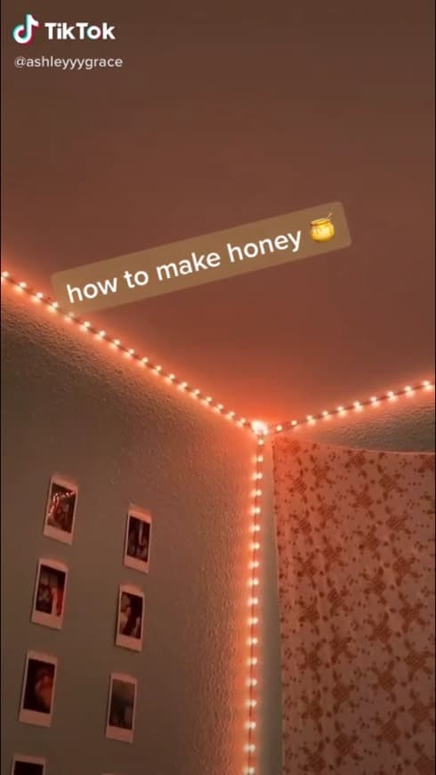 Fashion Honey 🍯 leds toturial