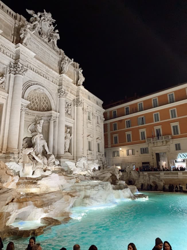 Place Fontana di Trevi