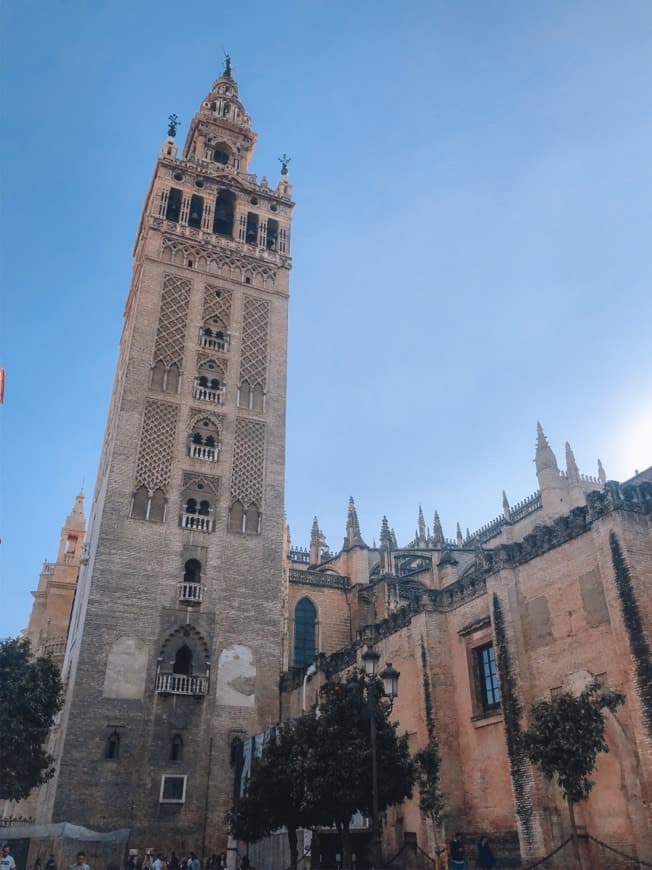 Place Catedral de Sevilla