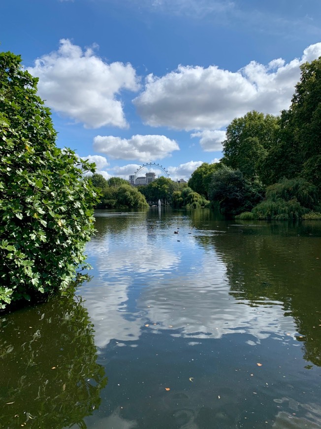 Lugar St. James's Park