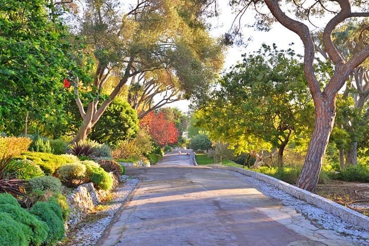 Lugar Jardines Botánicos de Gibraltar