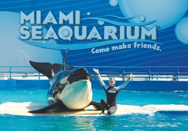 Lugar Miami Seaquarium