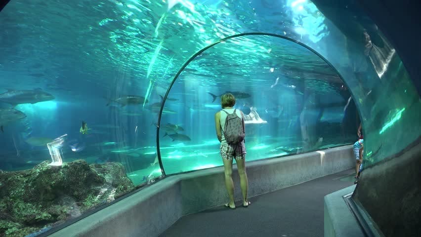 Lugar Maui Ocean Center, The Aquarium of Hawaii