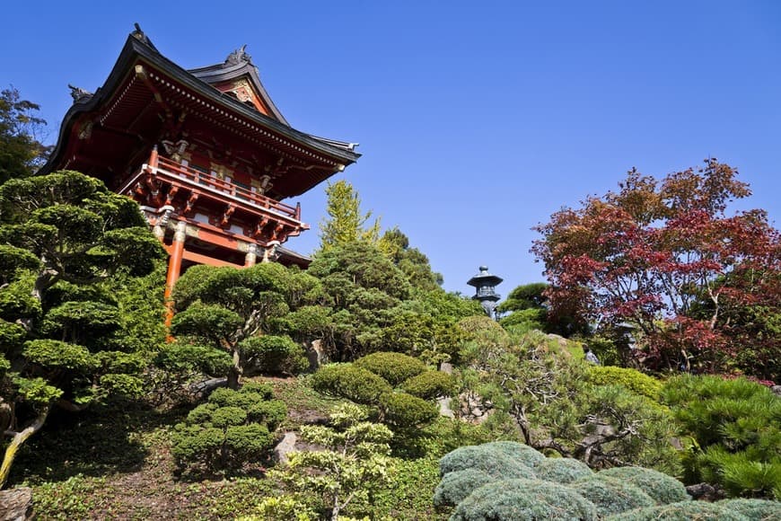 Lugar Japanese Tea Garden