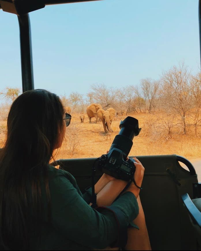 Lugar Parque nacional Kruger