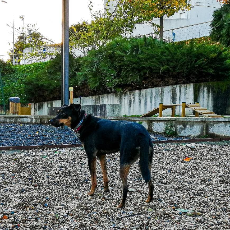 Lugar Centro de Educação Ambiental da Quinta do Passal - Câmara Municipal de Gondomar