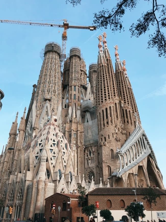 Lugar Basílica Sagrada Familia