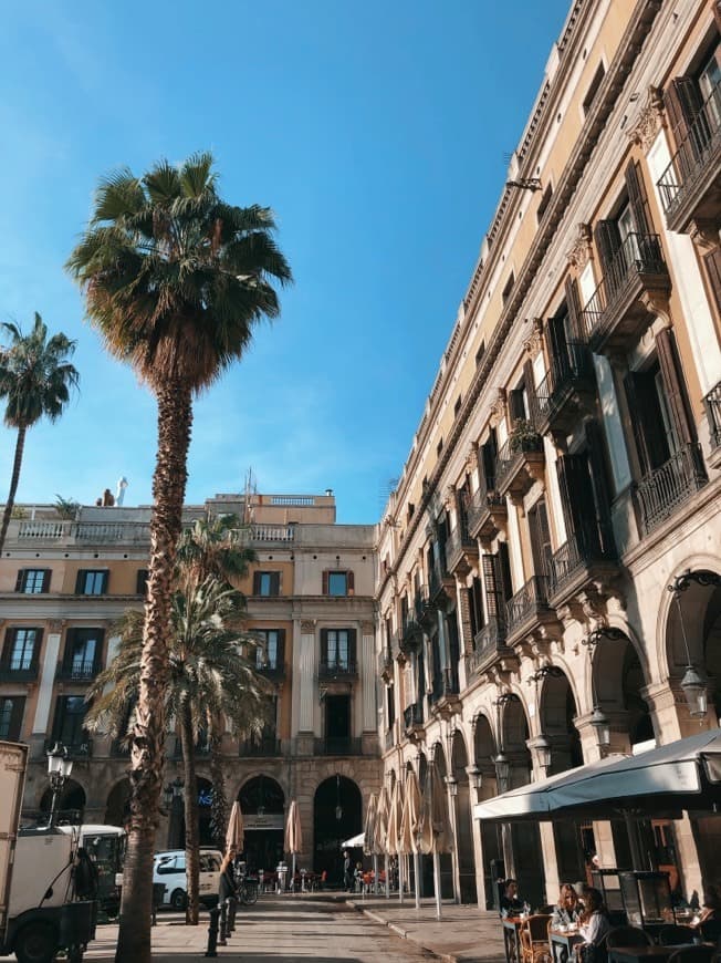 Lugar Plaça Reial