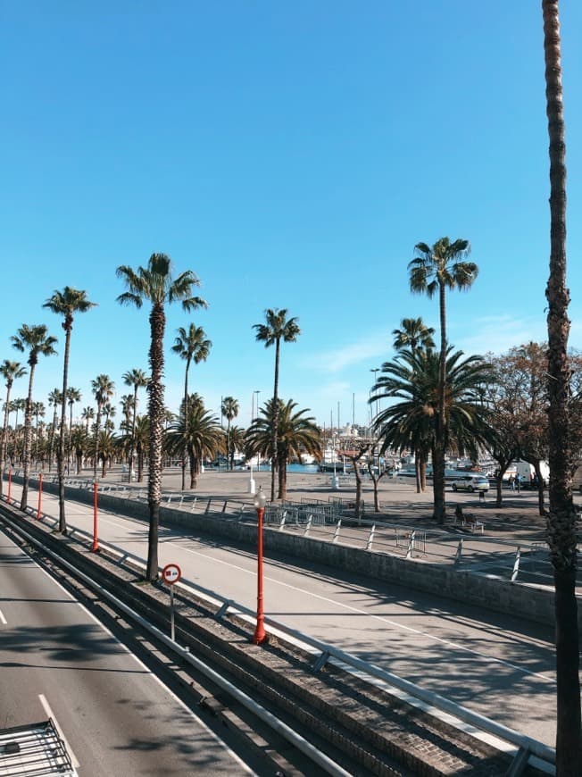 Lugar La Barceloneta