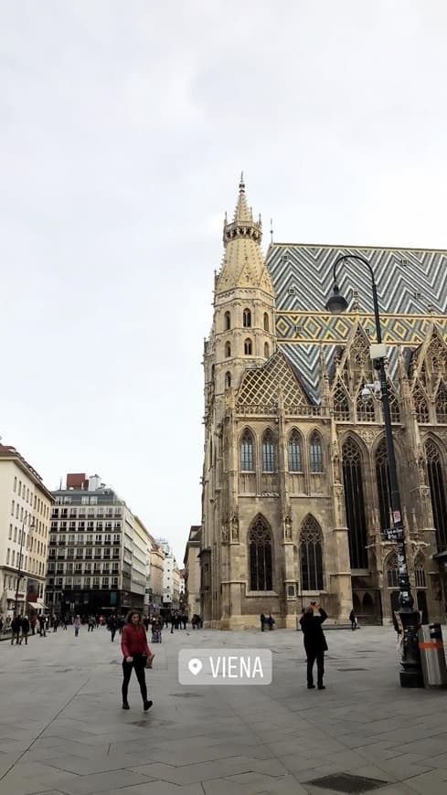 Lugar Catedral de viena