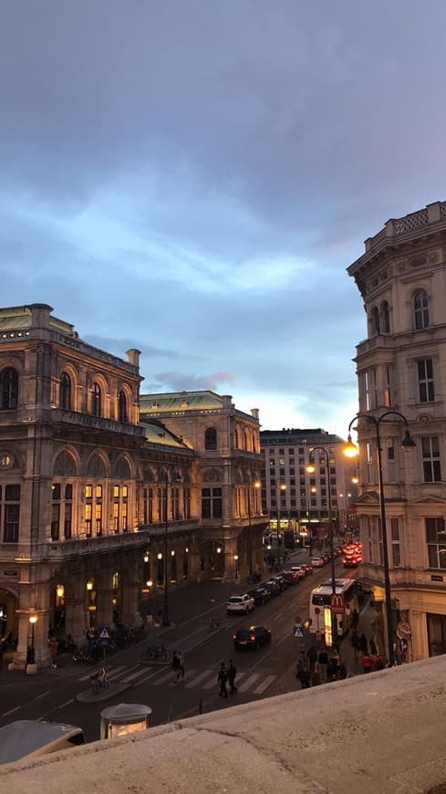 Lugar Vienna Operahouse