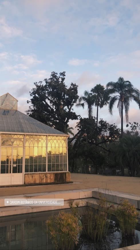 Lugar Jardim Botânico da Universidade de Coimbra