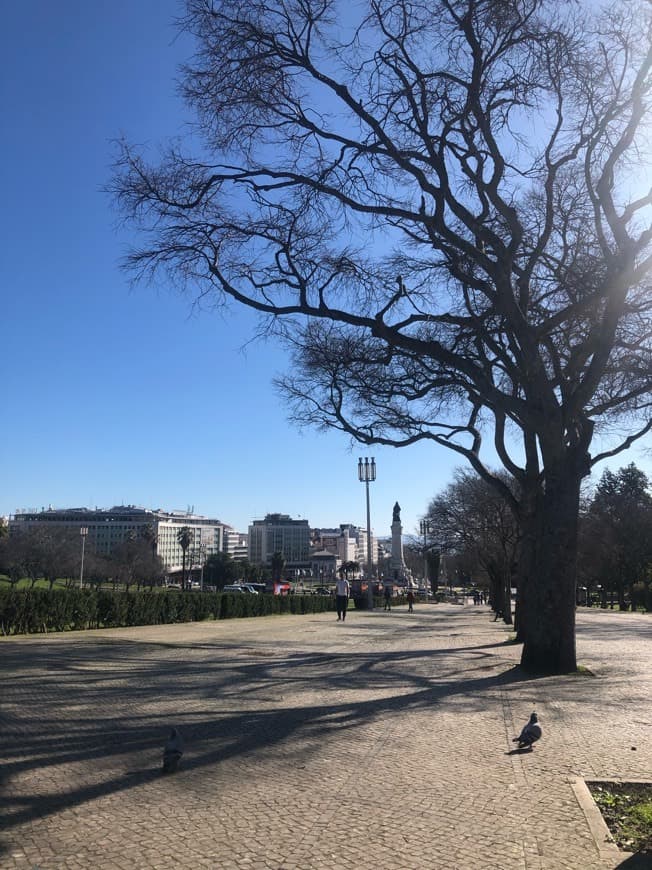 Lugar Parque Eduardo VII