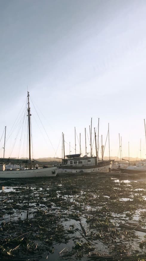 Lugar Marina da Figueira da Foz