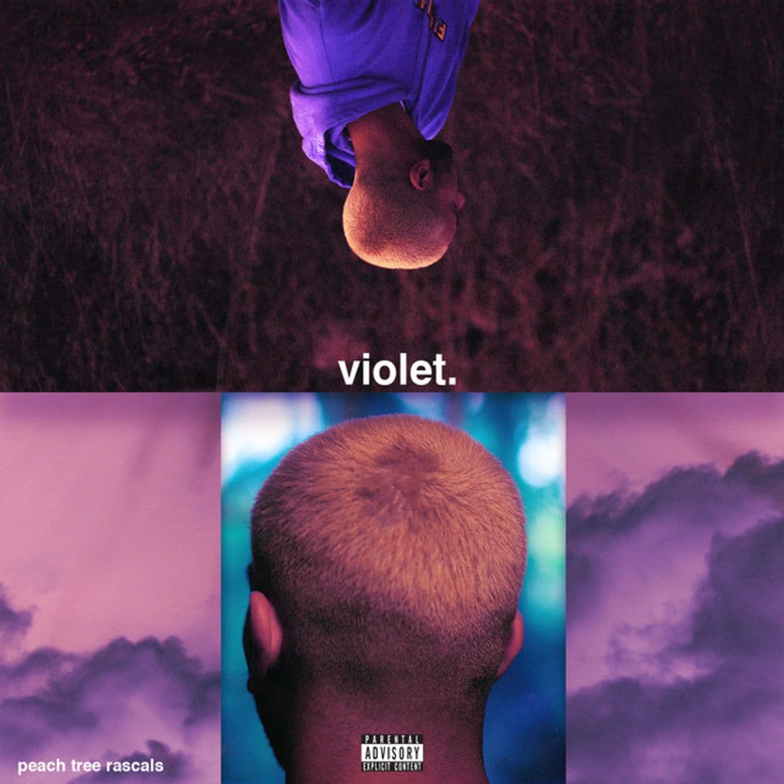 Canción Violet