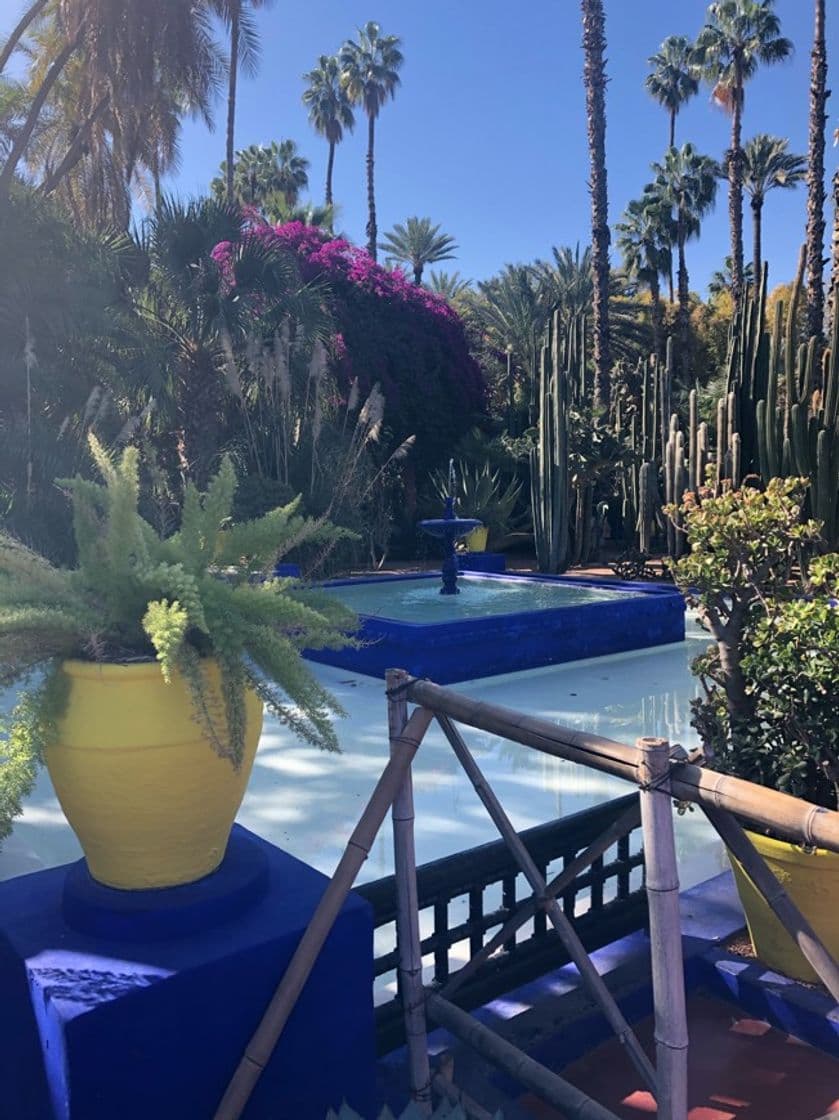 Lugar Jardín Majorelle