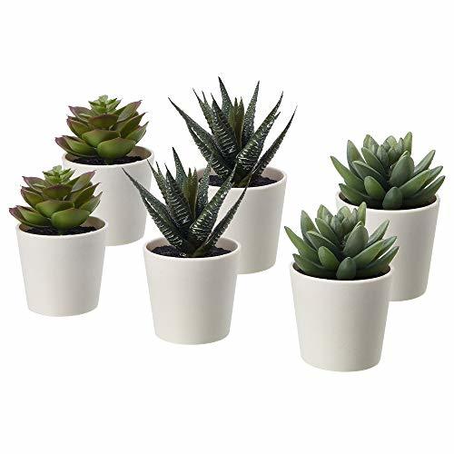 Home Ikea FEJKA - Juego de 6 Plantas suculentas Artificiales