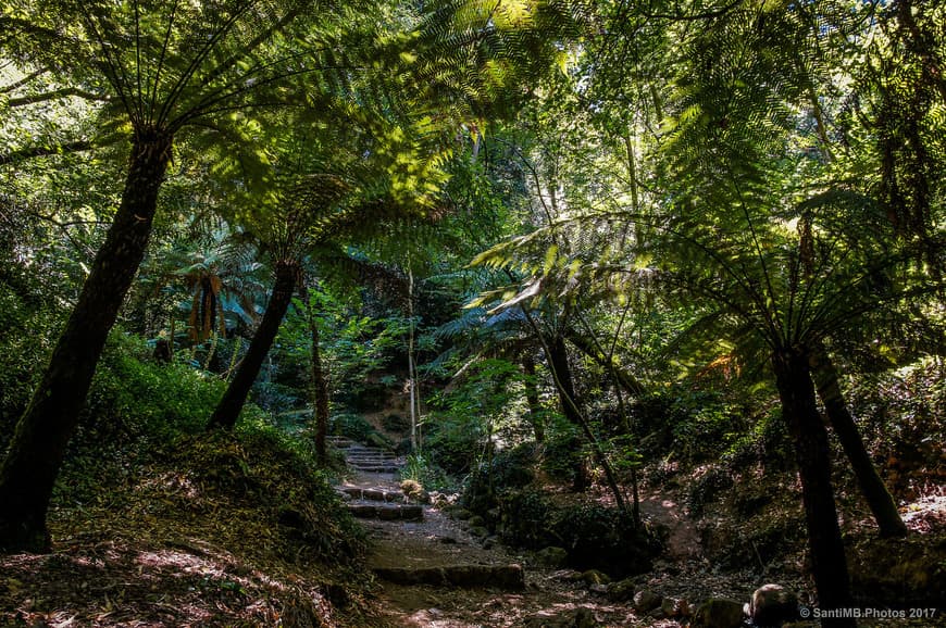 Place Serra do Buçaco