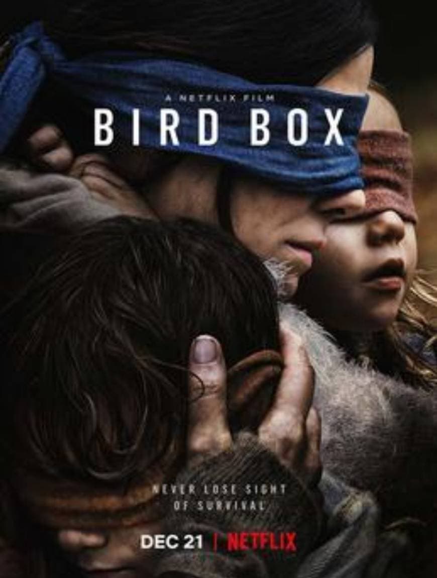 Película Bird Box