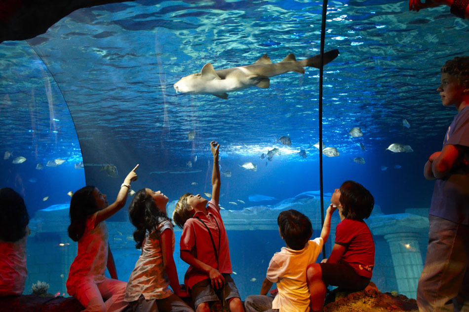 Place SEA LIFE Porto