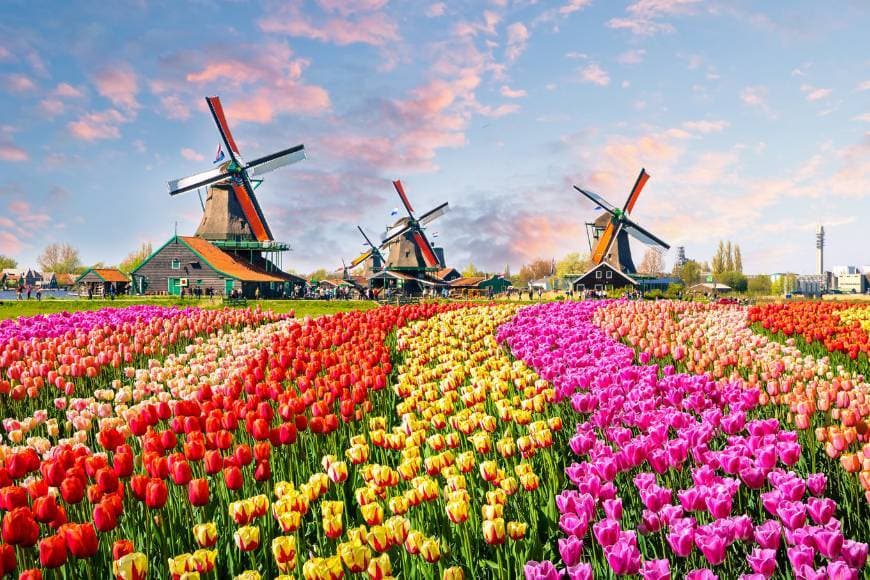 Place Holanda