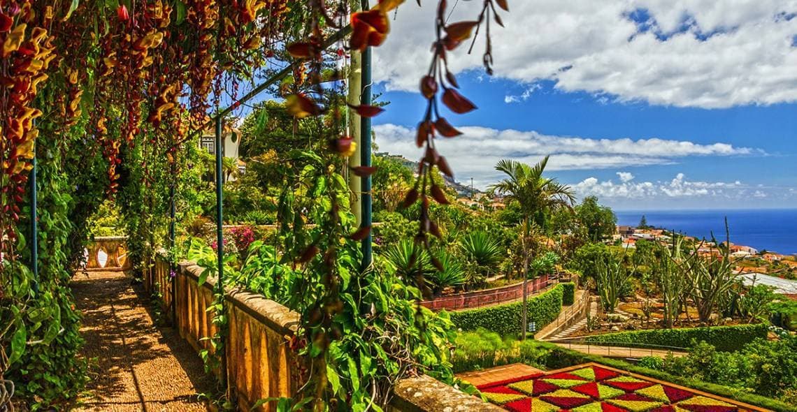 Place Jardín Botánico de Madeira