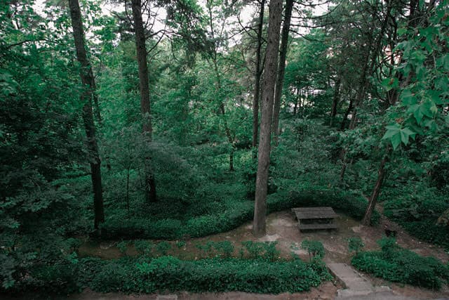 Lugar Parque Venâncio Ribeiro da Costa