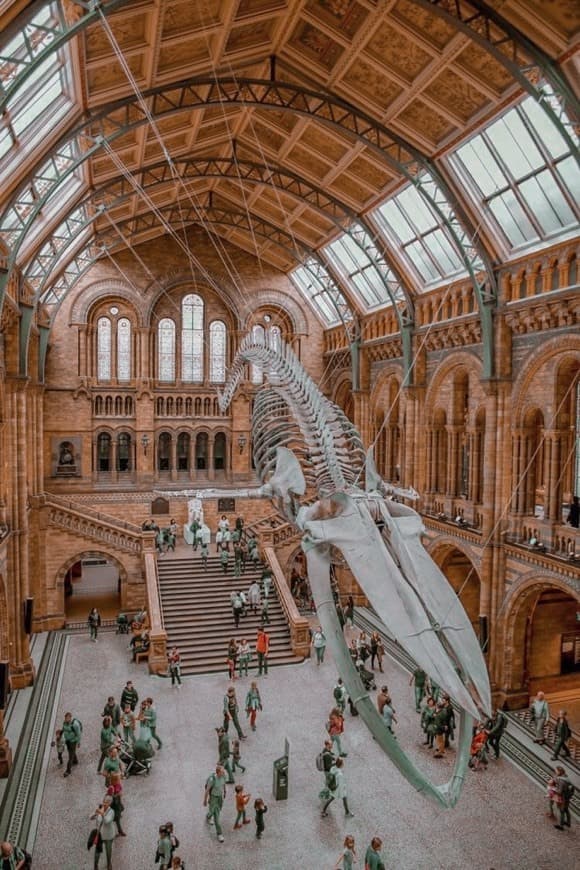 Place Natural History Museum