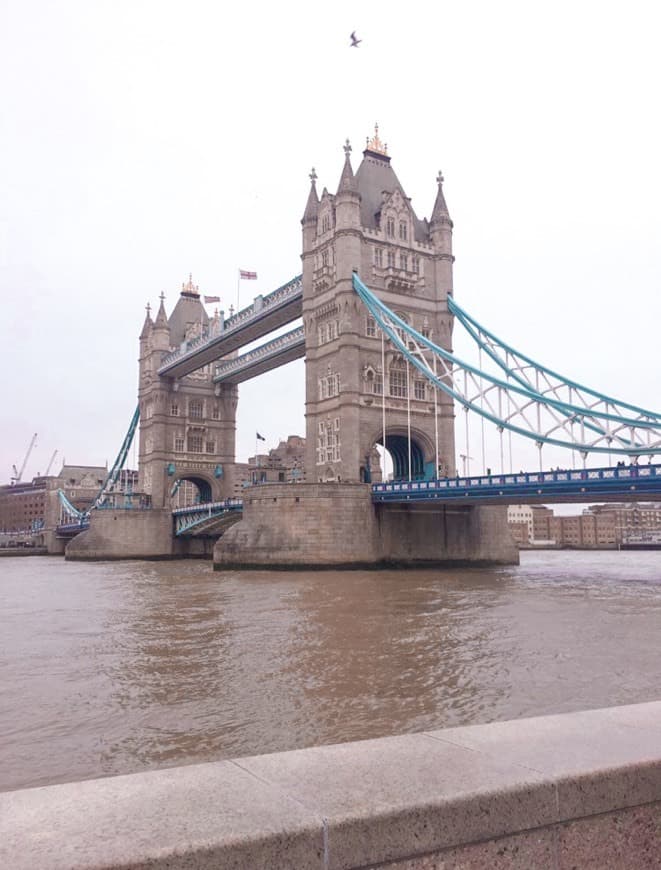 Place Tower Bridge