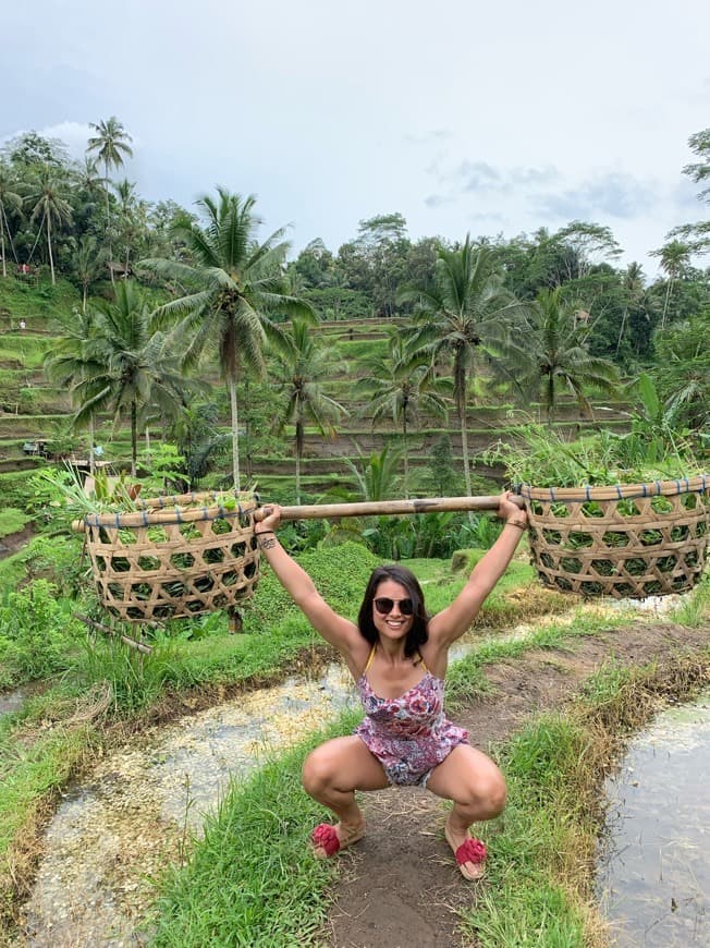 Place Tegallalang Rice Terrace