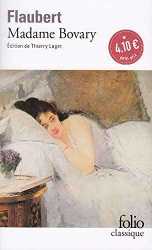 Libro Madame Bovary: Mœurs de province