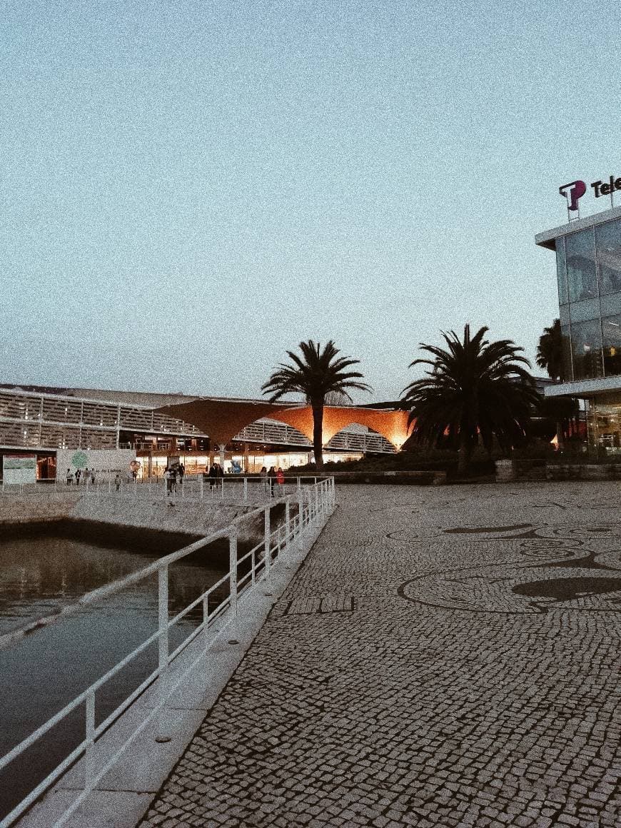 Place Oceanario de Lisboa