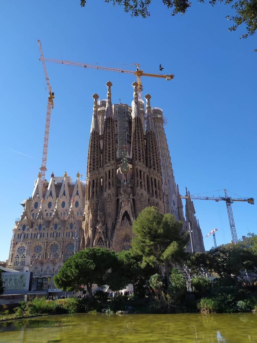 Lugar Basílica Sagrada Familia