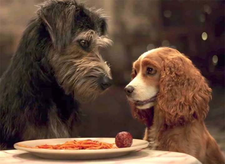 Película Lady and the Tramp