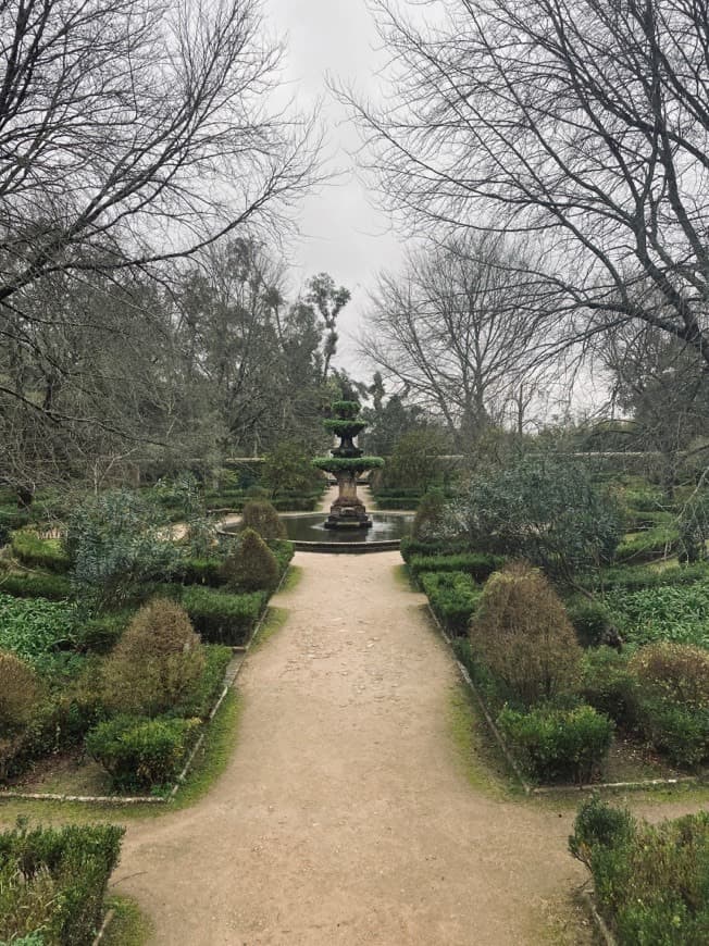 Lugar Jardim Botânico da Universidade de Coimbra