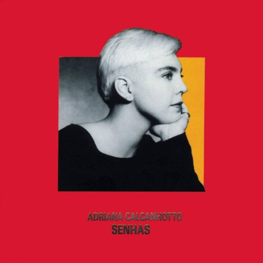 Music Senhas - Adriana Calcanhotto