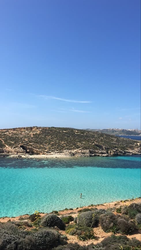 Place Comino