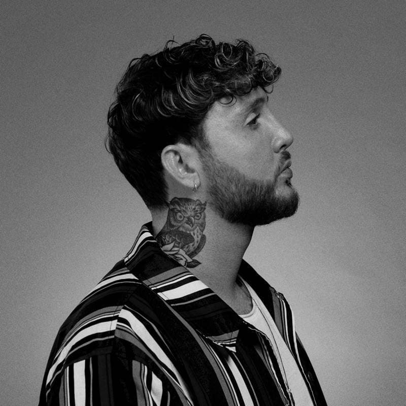 Canción James Arthur- Falling like the stars 