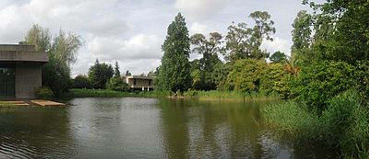 Lugar Calouste Gulbenkian Foundation