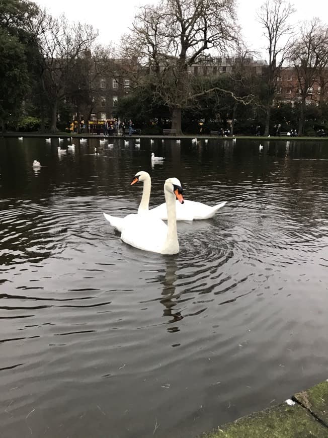 Place St. Stephen's Green